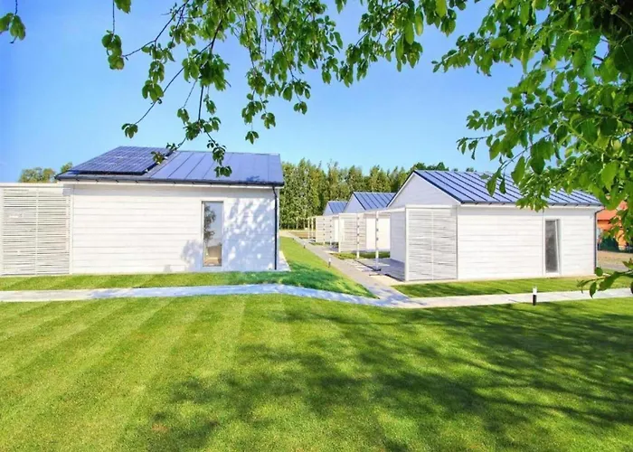 Comfortable Homes With A Summer Pool